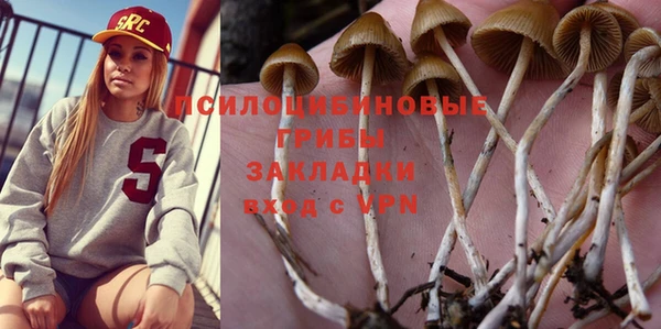 а пвп мука Бородино